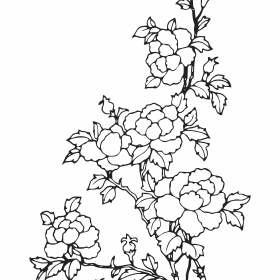 黑白花卉几何牡丹花纹矢量图服装裁片T恤烫图花型素材