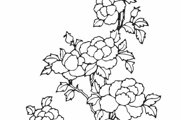 黑白花卉几何牡丹花纹矢量图服装裁片T恤烫图花型素材