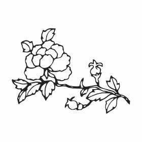 黑白几何花卉矢量图服装花型印花素材