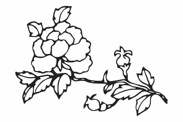 黑白几何花卉矢量图服装花型印花素材