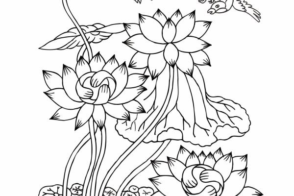 植物荷叶花卉飞鸟矢量图印花花型素材