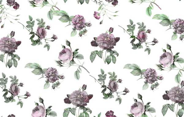 植物牡丹花矢量图服装纺织面料数码印花花型素材