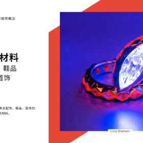 2021春夏配饰、鞋品 & 首饰趋势概念：硬质材料