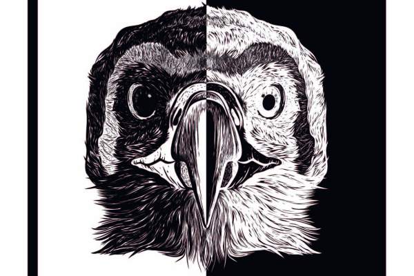 动物老鹰印花矢量图服装裁片T恤烫图印花花型素材