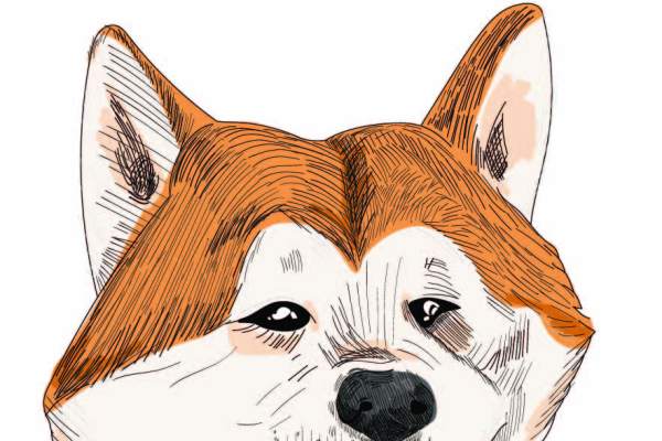 动物柴犬字母矢量图服装裁片T恤烫图印花花型素材