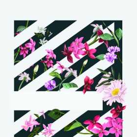 植物花卉几何黑白条矢量图服装裁片T恤烫图印花花型素材