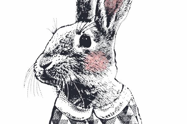 动物兔子字母拼接印花图案服装T恤烫图印花花型素材