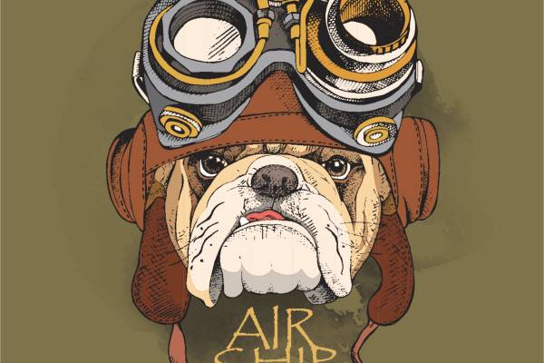 小狗飞行员字母矢量图服装T恤裁片烫图印花花型素材