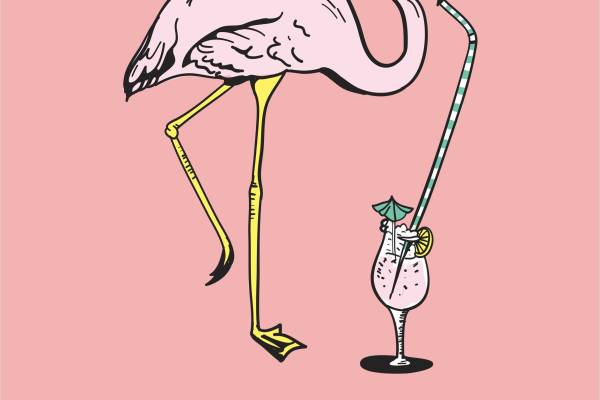 卡通动物火烈鸟字母矢量图服装T恤裁片烫图印花花型素材