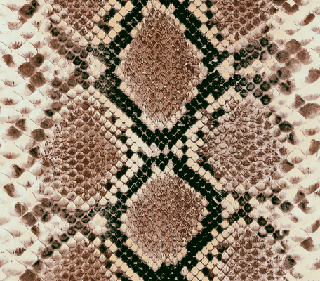 几何花纹拼接蟒纹印花矢量图服装纺织面料水印数码印花金昌花型素材