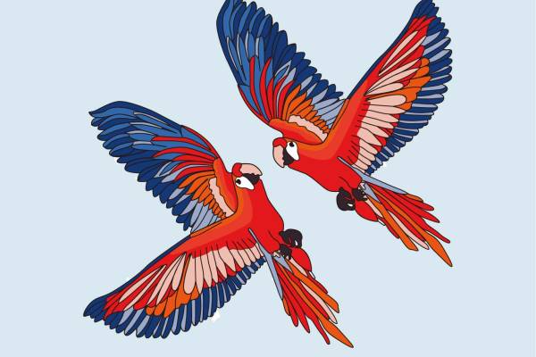 动物鹦鹉印花矢量图服装裁片T恤烫图印花花型素材