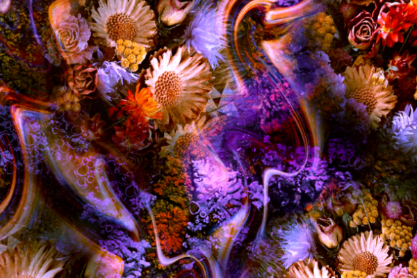 梦幻多彩植物菊花印花图案服装纺织面料数码印花花型素材