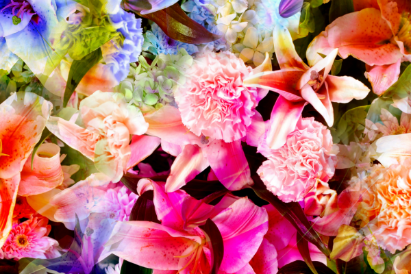 植物杜鹃花印花图案服装纺织面料印花花型素材