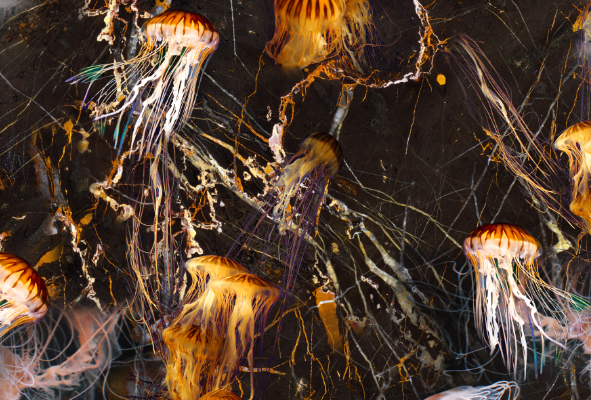 几何线条水母印花图案服装纺织面料数码印花花型素材