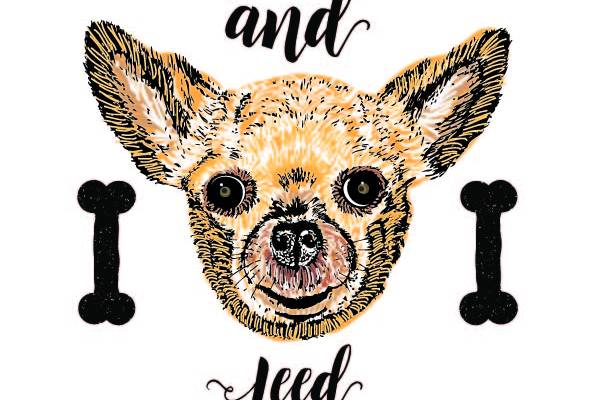 动物小狗骨头字母印花矢量图服装裁片T恤烫图印花花型素材