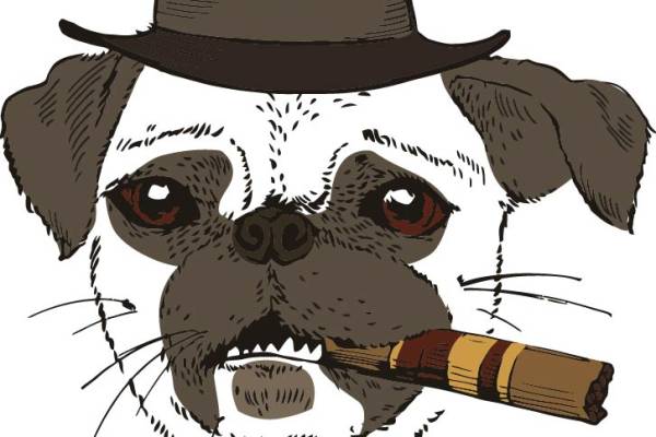 动物小狗抽烟字母印花矢量图服装裁片T恤烫图印花花型素材