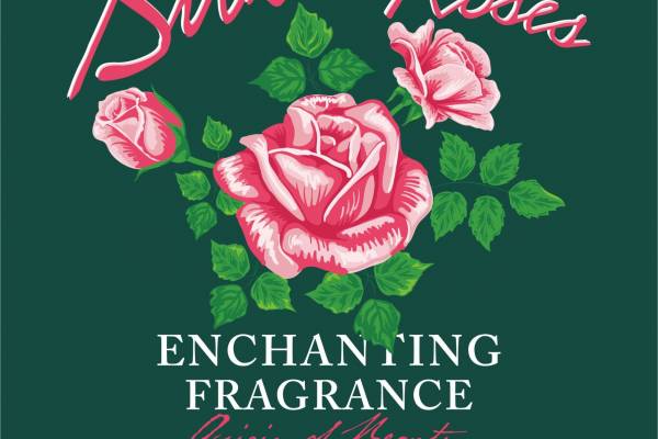 植物玫瑰花字母印花矢量图服装裁片T恤烫图印花花型素材