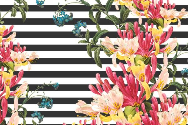 几何黑白线条植物花卉印花矢量图服装纺织面料数码印花花型素材