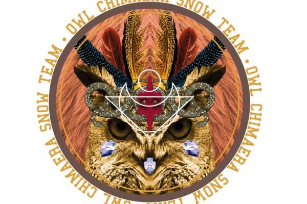 几何图案字母猫头鹰羽毛矢量图服装裁片T恤烫图印花花型素材