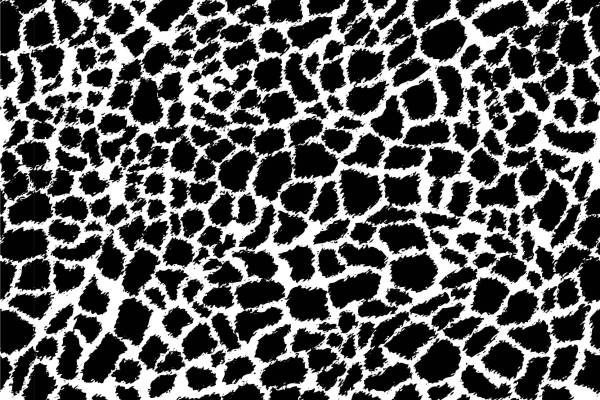 几何黑白拼接豹纹印花矢量图服装纺织面料数码印花花型素材