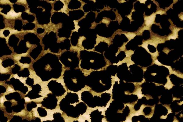 几何条纹拼接豹纹印花矢量图服装纺织面料数码印花花型素材