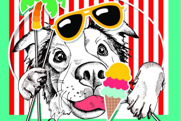 动物小狗字母夏日风印花矢量图服装裁片T恤烫图印花花型素材