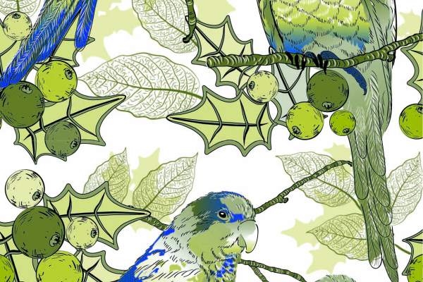 动物飞鸟鹦鹉印花矢量图服装纺织面料数码印花花型素材