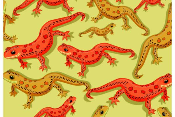 动物壁虎印花矢量图服装纺织面料数码印花花型素材