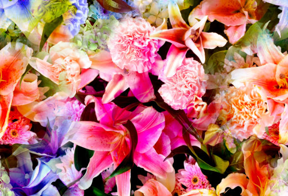 植物花卉杜鹃花印花图案服装纺织面料数码印花素材