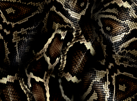 几何蟒纹印花图案服装纺织面料数码印花花型素材