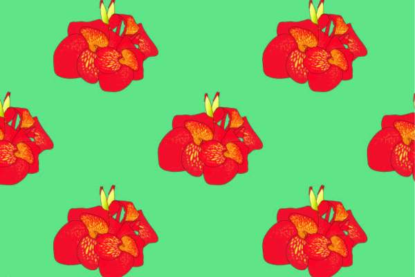 植物花朵君子兰印花图案服装纺织面料数码印花花型素材