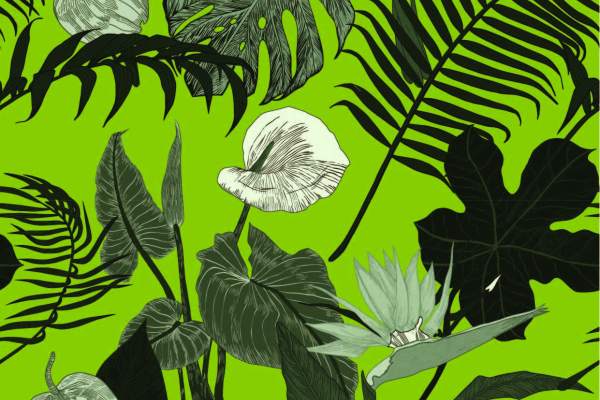 植物花卉印花矢量图服装纺织面料数码印花图案素材