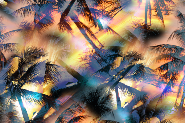 植物椰子树印花图案服装纺织面料数码印花素材