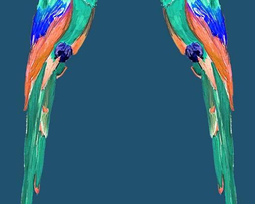 动物鹦鹉印花矢量图服装裁片T恤烫图印花花型素材