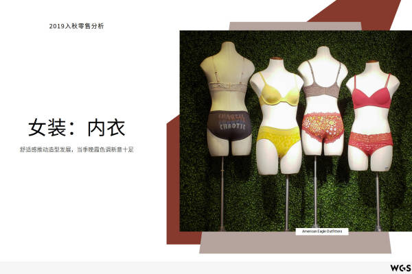 2019年入秋零售分析：女士内衣