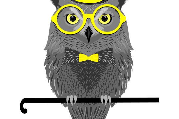 卡通动物猫头鹰印花矢量图服装裁片T恤烫图印花花型素材