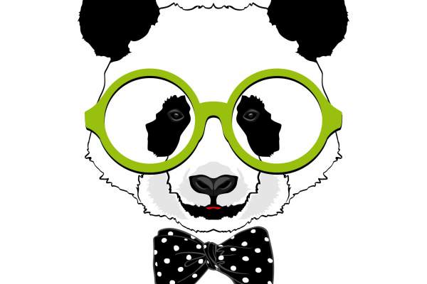 卡通动物熊猫字母印花矢量图服装裁片T恤烫图印花花型素材