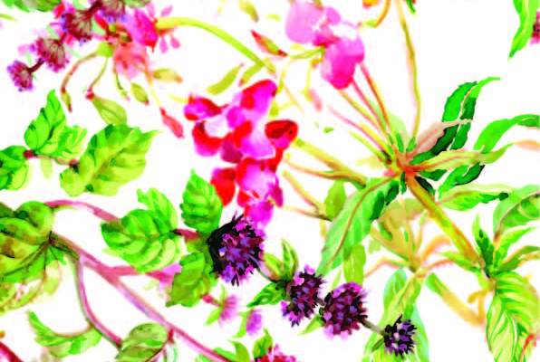 植物花卉印花矢量图服装纺织数码印花花型素材