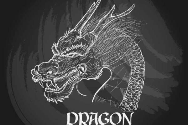 字母动物龙印花矢量图服装裁片T恤烫图印花花型素材