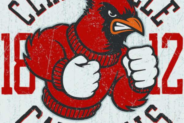 字母数字图案老鹰印花矢量图服装裁片T恤烫图印花花型素材