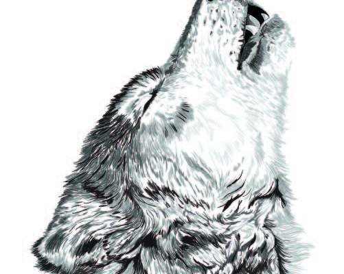 动物狼图腾印花矢量图服装裁片T恤烫图印花花型素材