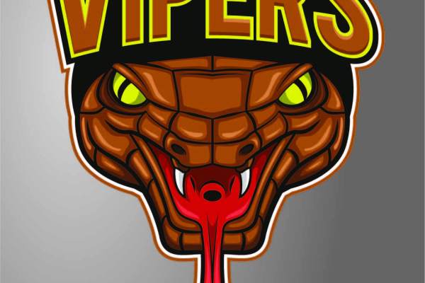 卡通动物眼镜蛇字母印花矢量图服装裁片T恤烫图印花花型素材