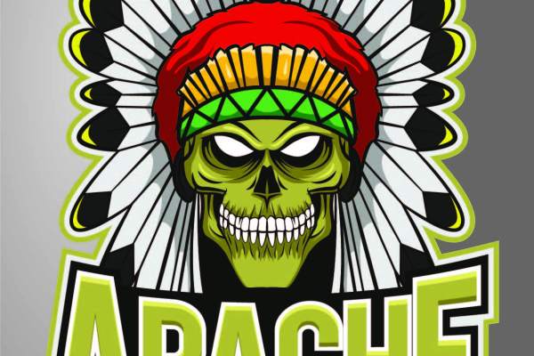 骷髅头羽毛字母印花矢量图服装裁片T恤烫图印花花型素材