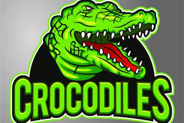 卡通动物鳄鱼字母CROCODILES印花矢量图服装裁片T恤烫图印花花型素材