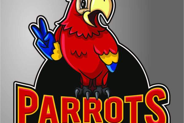 卡通动物鹦鹉字母PARROTS印花矢量图服装裁片T恤烫图印花花型素材