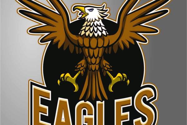 卡通动物白头雕字母EAGLES印花图案服装裁片T恤烫图印花花型素材