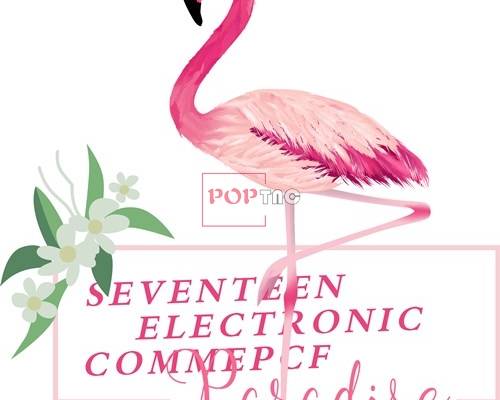 潮牌火烈鸟字母印花矢量图服装裁片T恤烫图印花花型素材