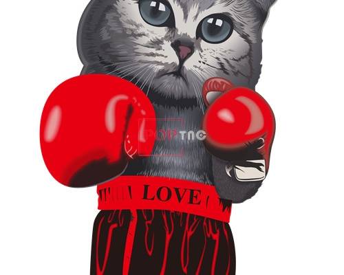 卡通动物拳击猫印花图案潮牌服装裁片T恤烫图印花花型