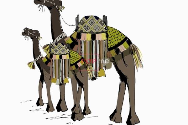 动物骆驼字母印花图案服装裁片T恤烫图印花花型素材