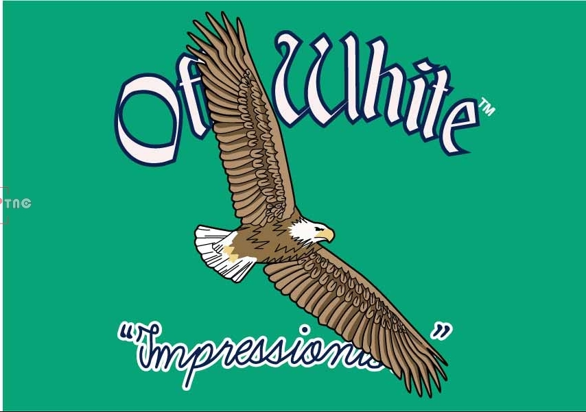 字母off white数字老鹰印花图案服装裁片T恤卫衣烫图印花花型素材